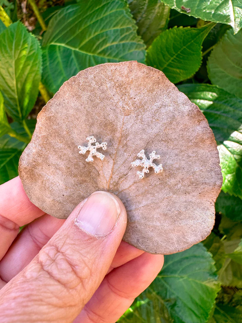 PENDIENTES DE PLATA CORAL