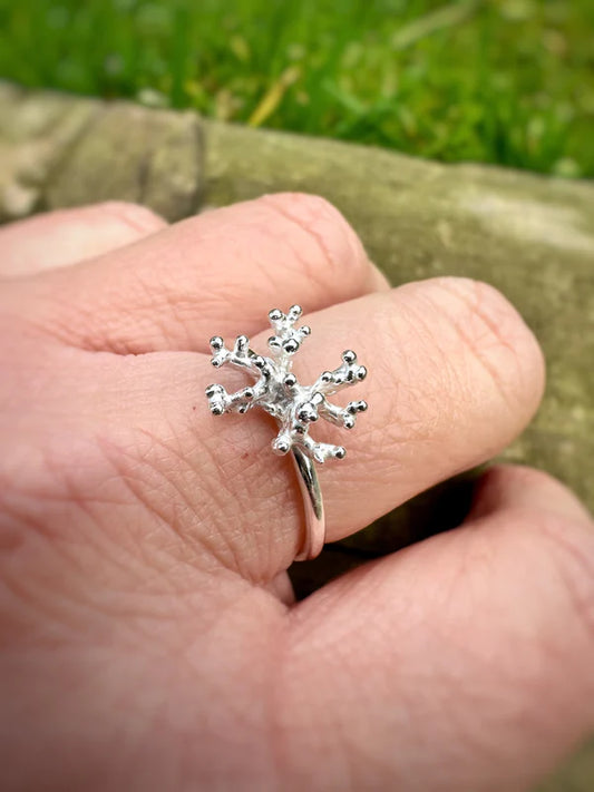 ANILLO CORAL DE PLATA
