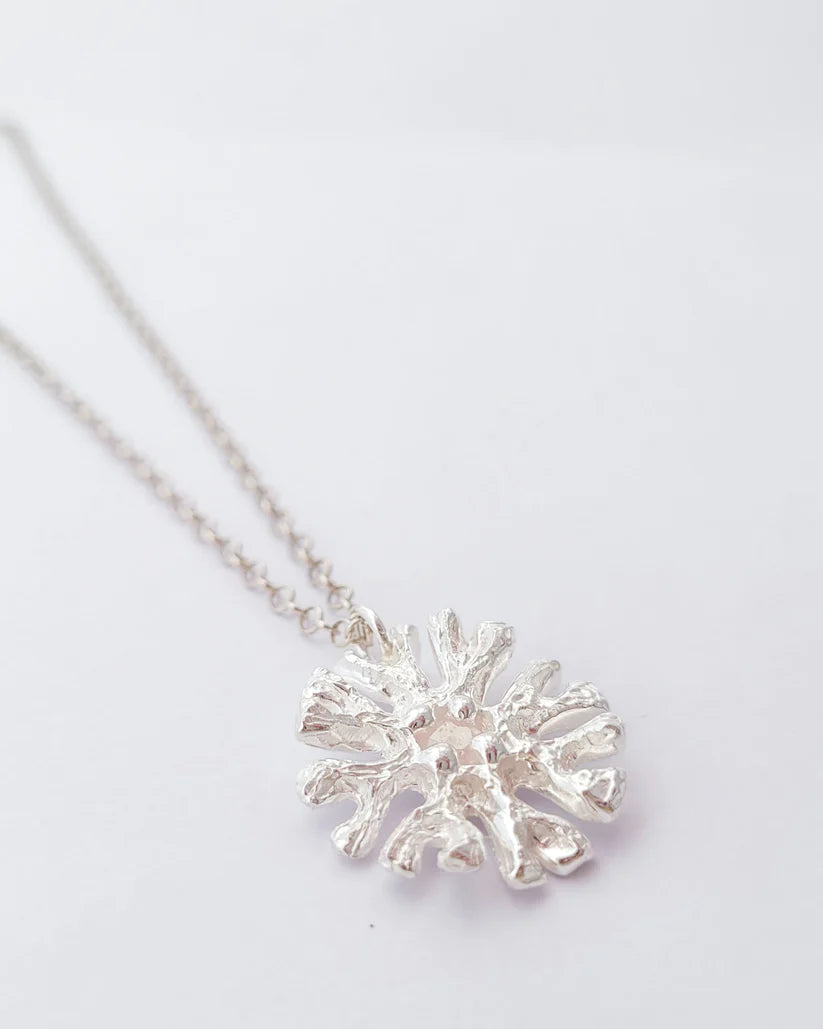 Colgante arrecife de plata y circonita
