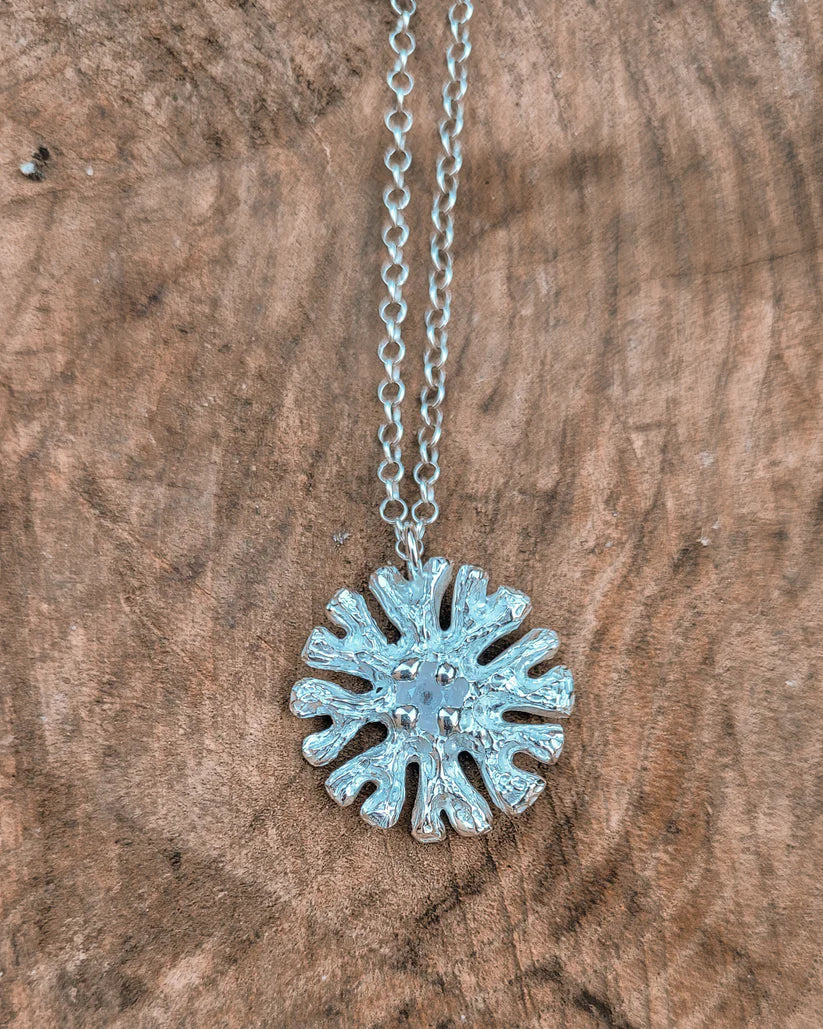 Colgante arrecife de plata y circonita