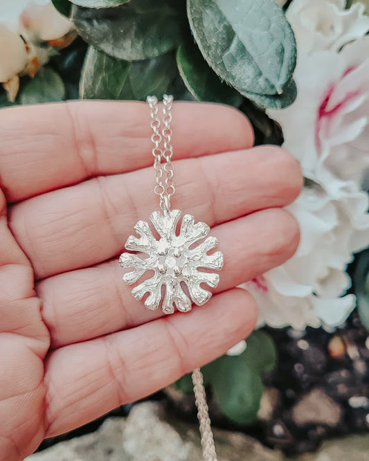 Colgante arrecife de plata y circonita