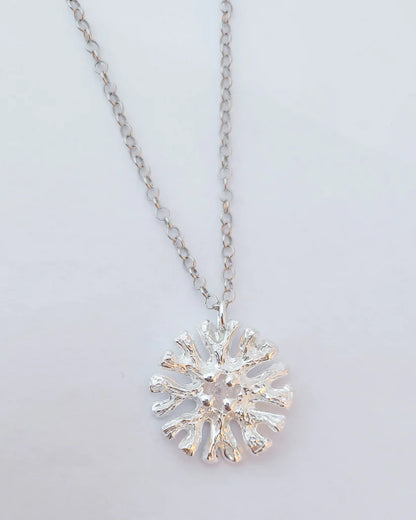 Colgante arrecife de plata y circonita
